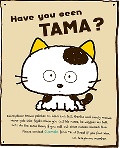 Have you seen my Tama?